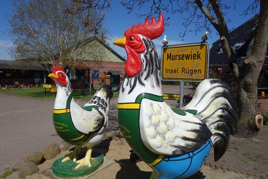 Das interessante Leben auf dem Bauernhof Kliewe Rügen