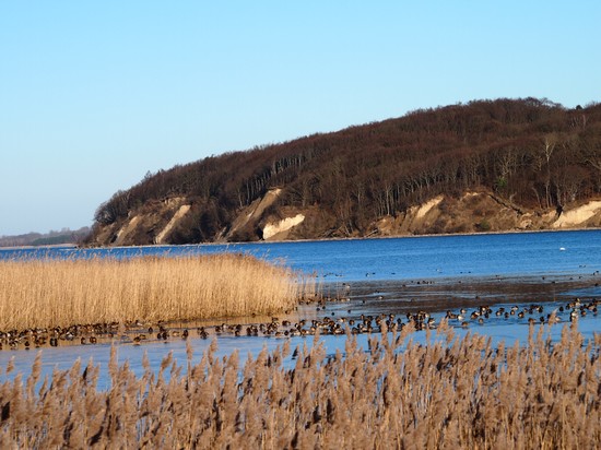 Winterstimmung auf Rügen