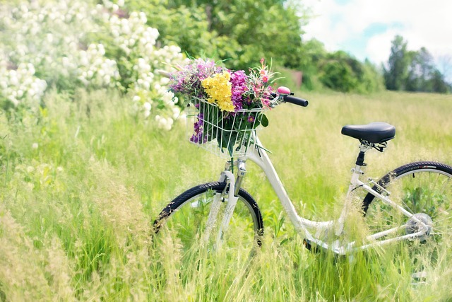 Fahrrad in der Natur